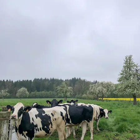 Le Presbytere, Familiale *