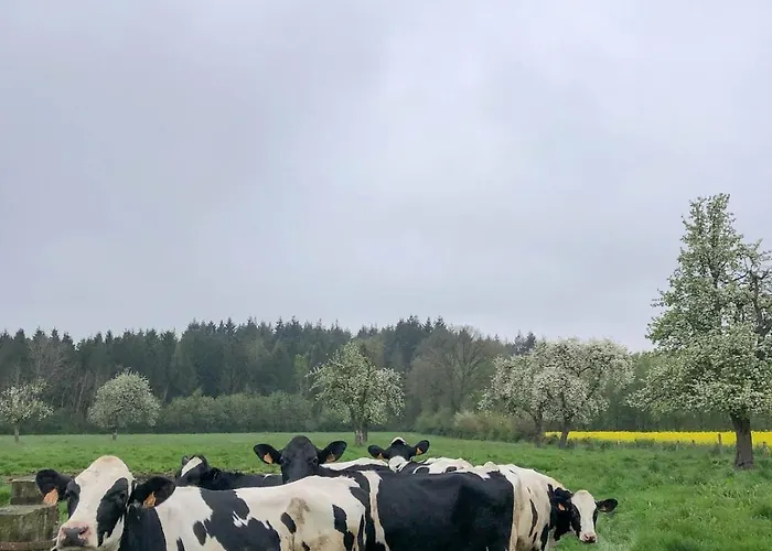 Le Presbytere, Familiale *